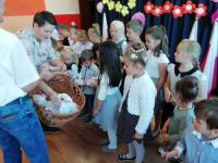 IMG_20181015_113350