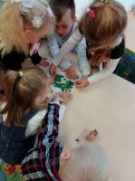 IMG_20191108_085913