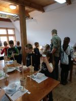 IMG20250416123330