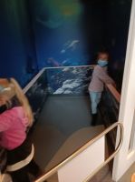 IMG20211117125536