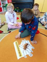 IMG20260520094953