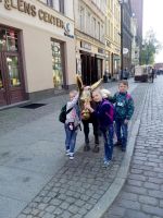 IMG_20170513_093944
