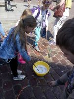 IMG_20170513_120709