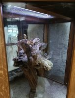 IMG_20230525_122927