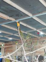 IMG_20190920_140728