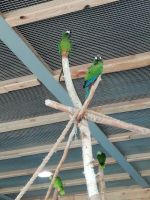 IMG_20190920_140739