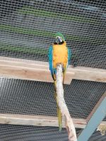 IMG_20190920_140823