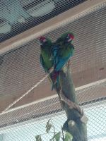 IMG_20190920_140927