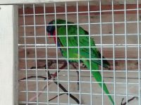 IMG_20190920_141421