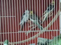 IMG_20190920_141440