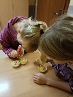 IMG20241028112059